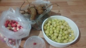 ผลไม้มหัศจรรย์