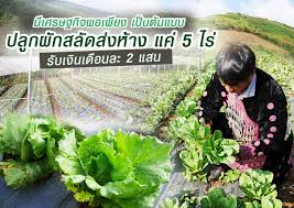 อาชีพเสริม