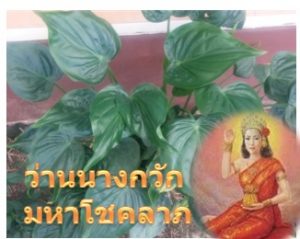 ว่านนางกวัก