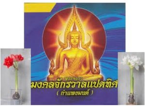 ว่านสี่ทิศ
