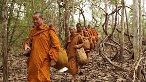 ว่านสี่ทิศ