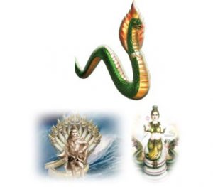 ว่านพญานาค
