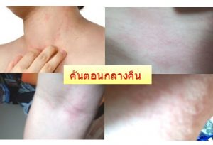 วิธีต้มเห็ดหลินจือ