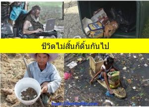 ชีวิตไม่สิ้น ก็ต้องดิ้นกันไป