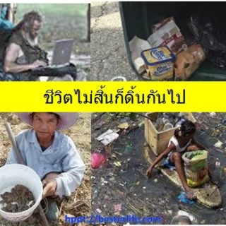 ชีวิตไม่สิ้น ก็ต้องดิ้นกันไป