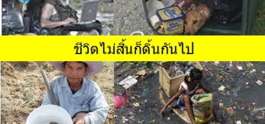 ชีวิตไม่สิ้น ก็ต้องดิ้นกันไป