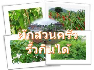 ผักสวนครัวรั้วกินได้