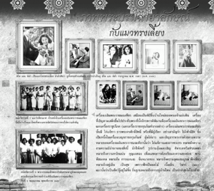 แมวมงคล