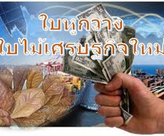 ต้นหูกวาง