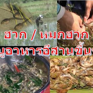 ฮวก