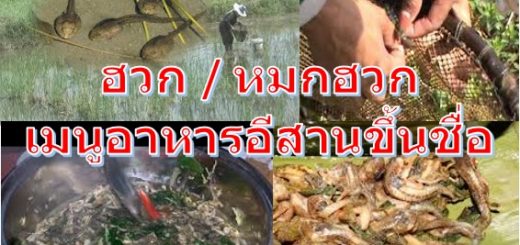 ฮวก