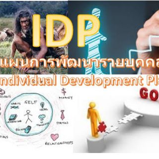 แผนพัฒนารายบุคคล