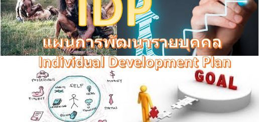 แผนพัฒนารายบุคคล