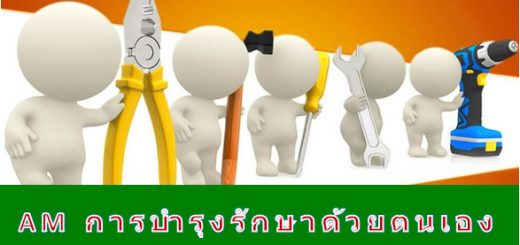 การบำรุงรักษาด้วยตนเอง