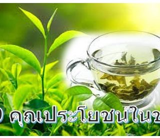 ชา