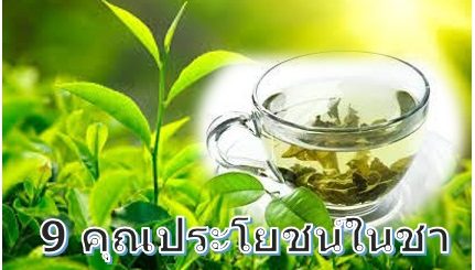 ชา