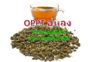 ชาอู่หลง
