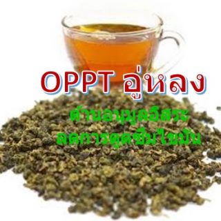 ชาอู่หลง