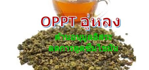 ชาอู่หลง
